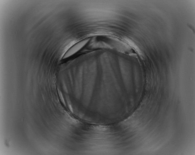 X0000091351329200708311508