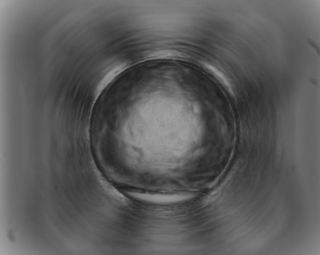 X0000091351330200708311508