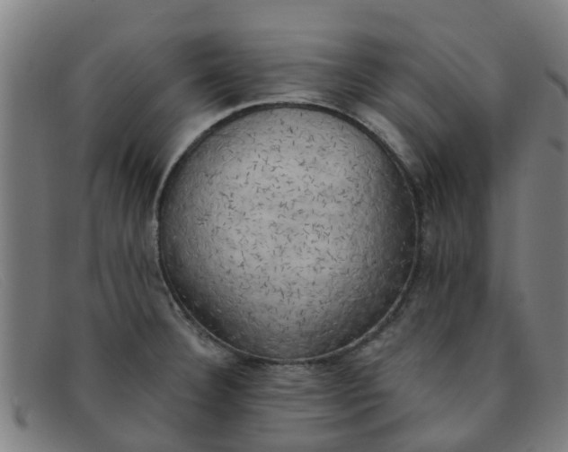 X0000091351332200708311508