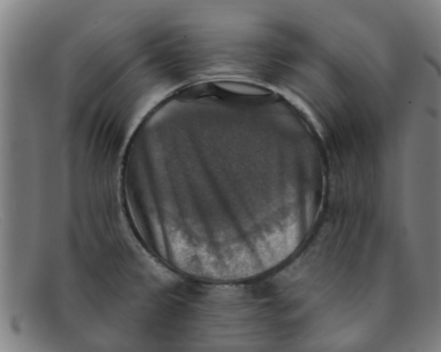 X0000091351333200708311508
