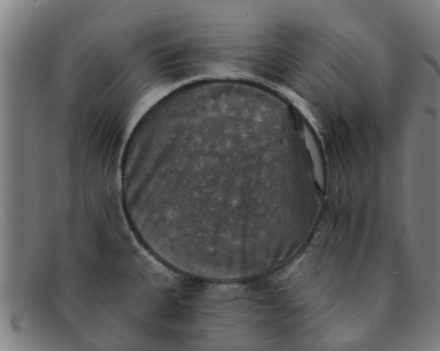 X0000091351335200708311508