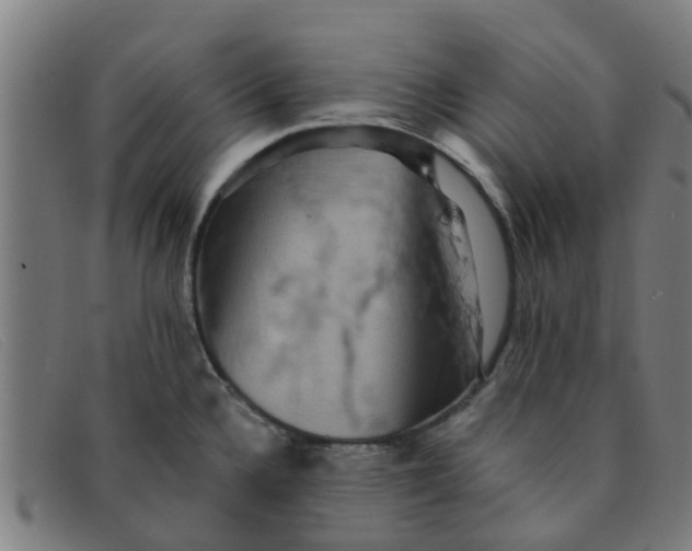 X0000091351336200708311508