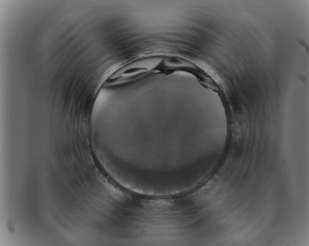 X0000091351337200708311508
