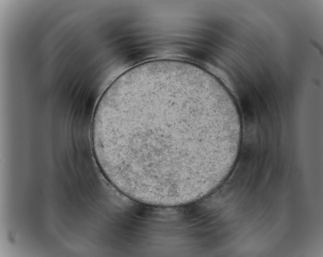 X0000091351338200708311508