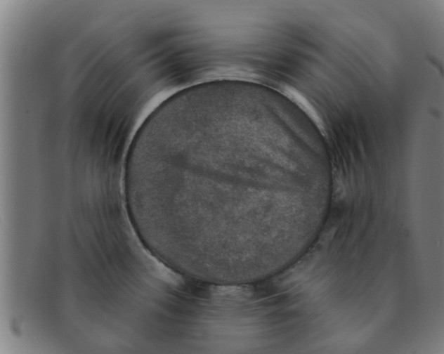 X0000091351339200708311508