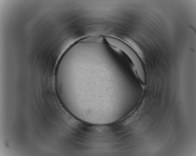 X0000091351340200708311508