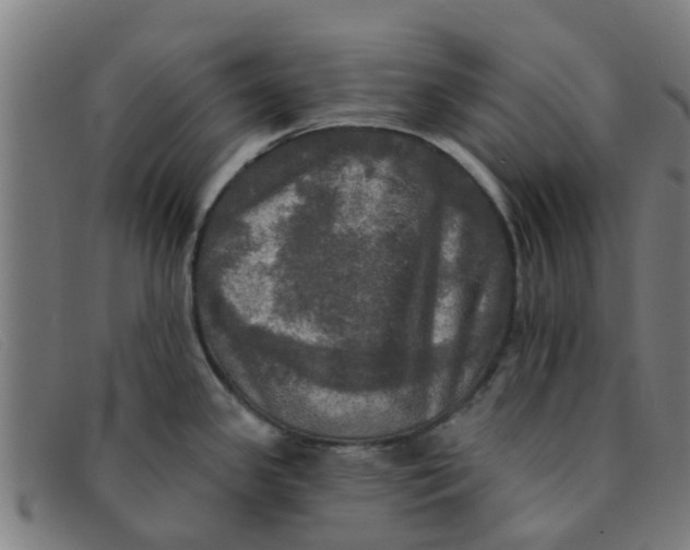 X0000091351341200708311508