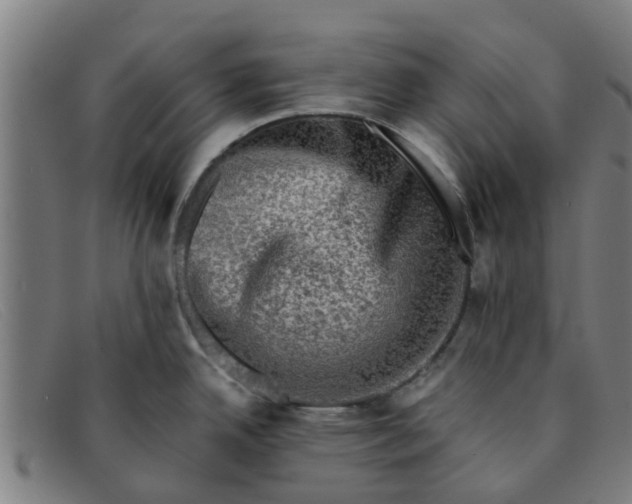 X0000091351342200708311508