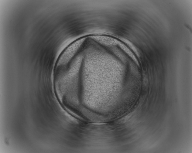 X0000091351343200708311508