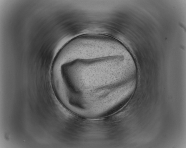 X0000091351344200708311508