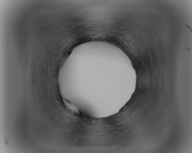 X0000091351345200708311508