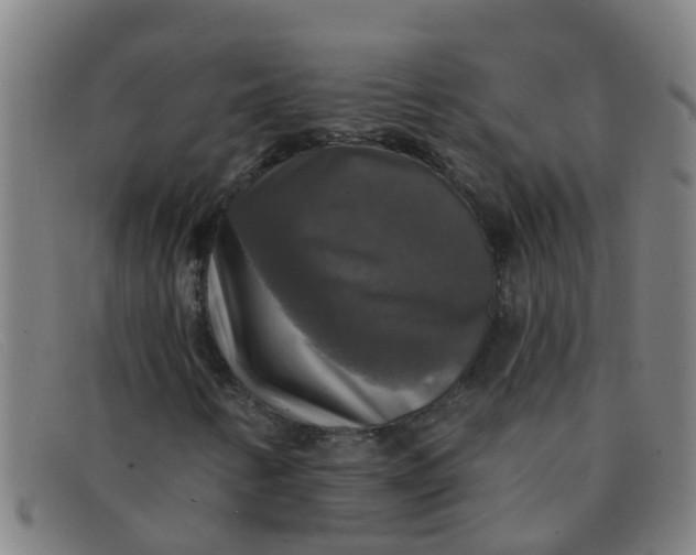 X0000091351346200708311508