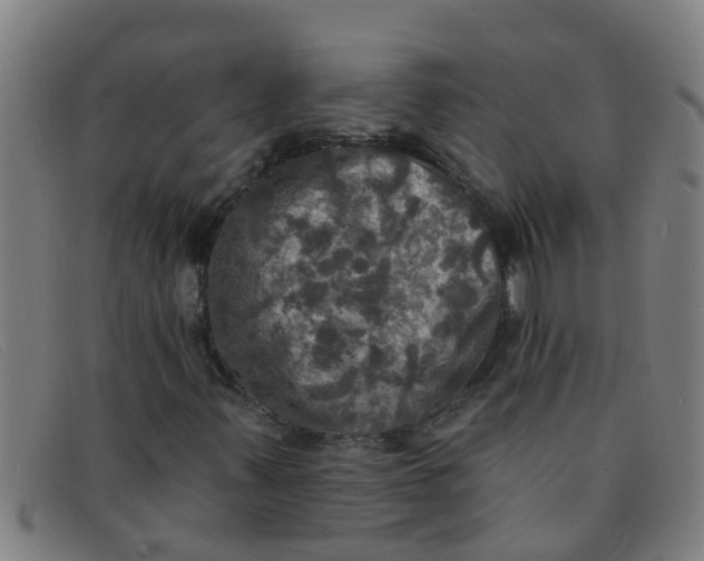 X0000091351347200708311508