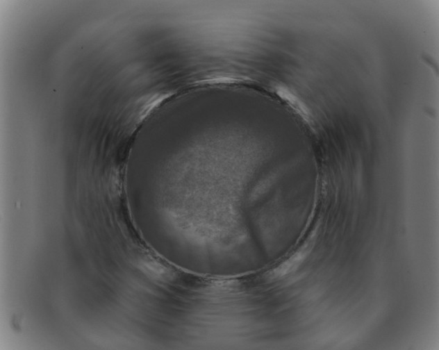 X0000091351353200708311508