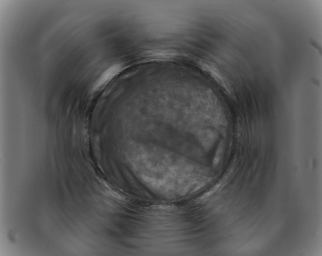 X0000091351354200708311508