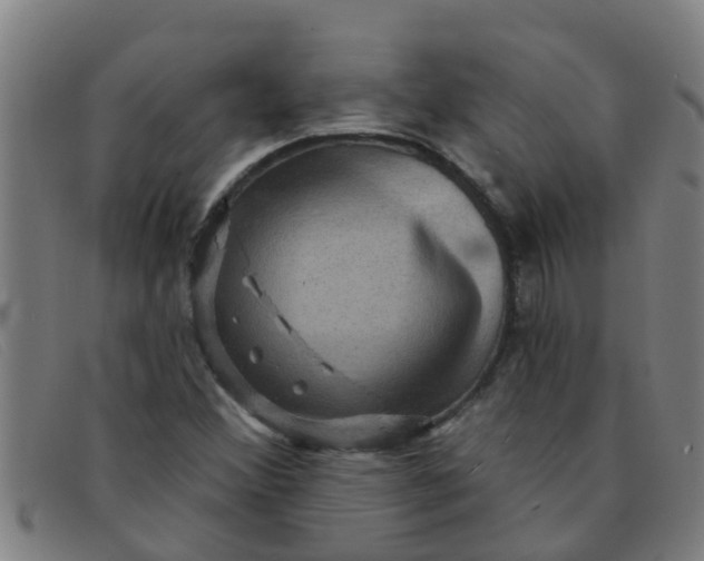 X0000091351356200708311508