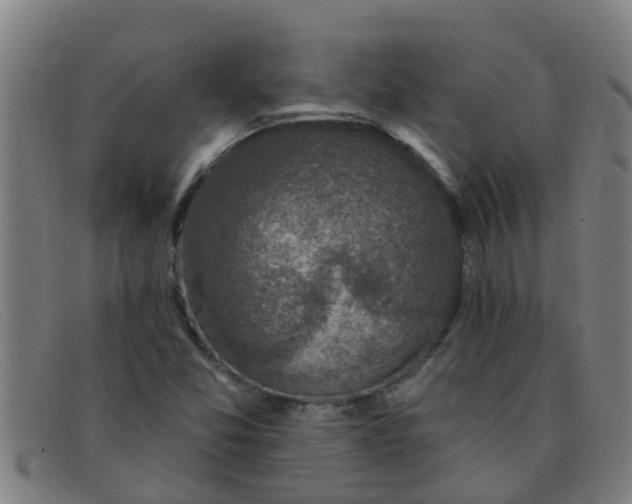X0000091351357200708311508