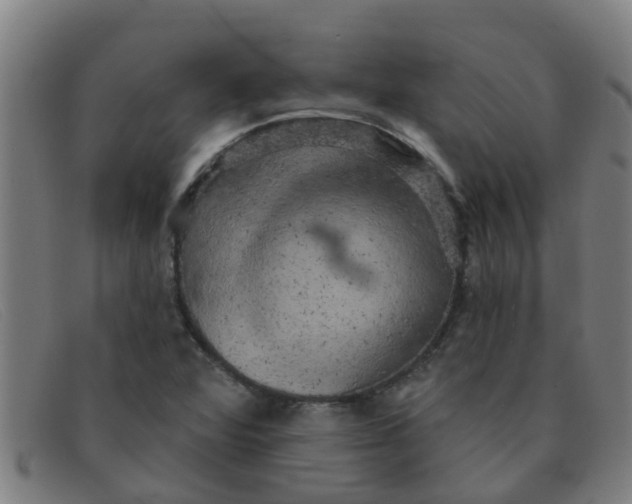 X0000091351360200708311508