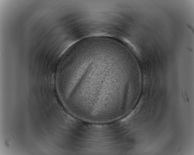 X0000091351361200708311508