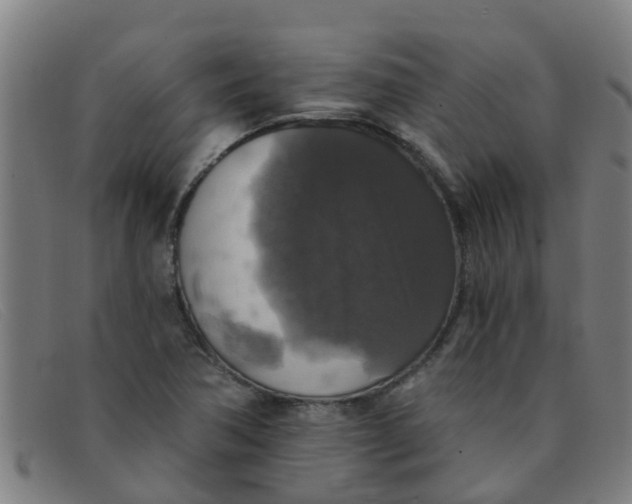 X0000091351362200708311508
