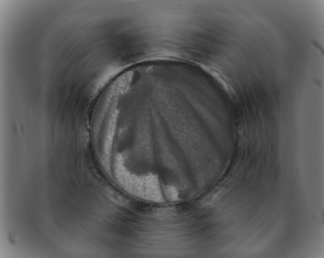 X0000091351363200708311508