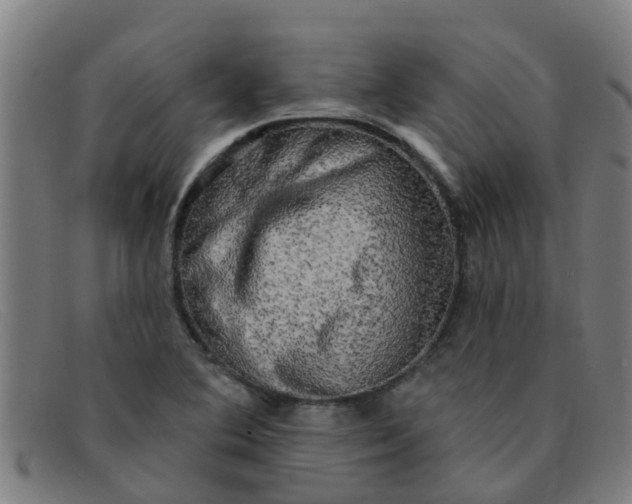 X0000091351364200708311508