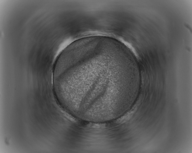 X0000091351365200708311508