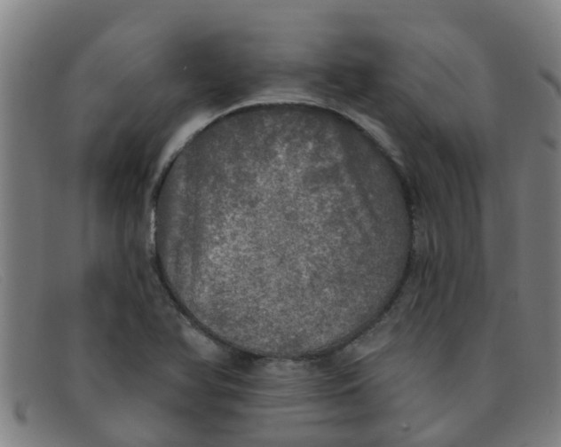 X0000091351366200708311508