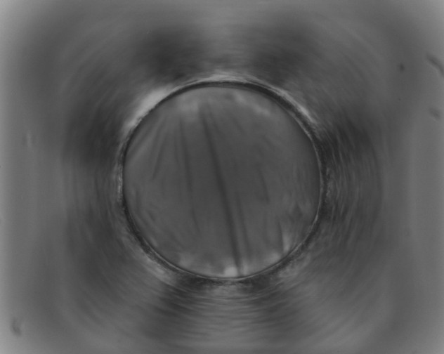 X0000091351367200708311508