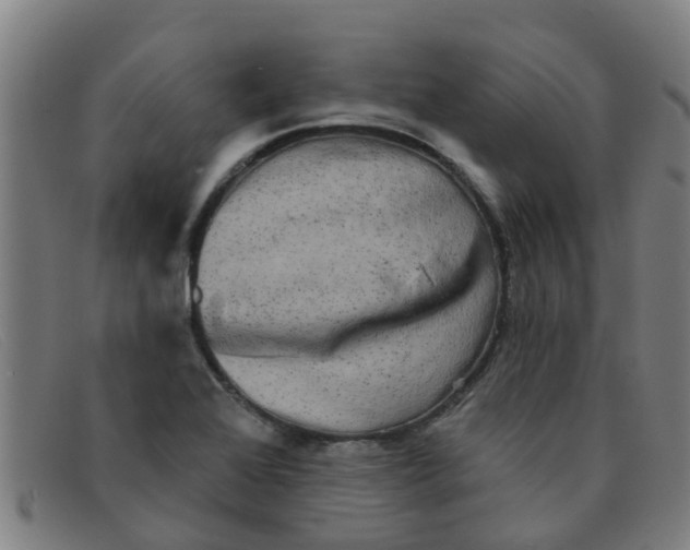 X0000091351368200708311508