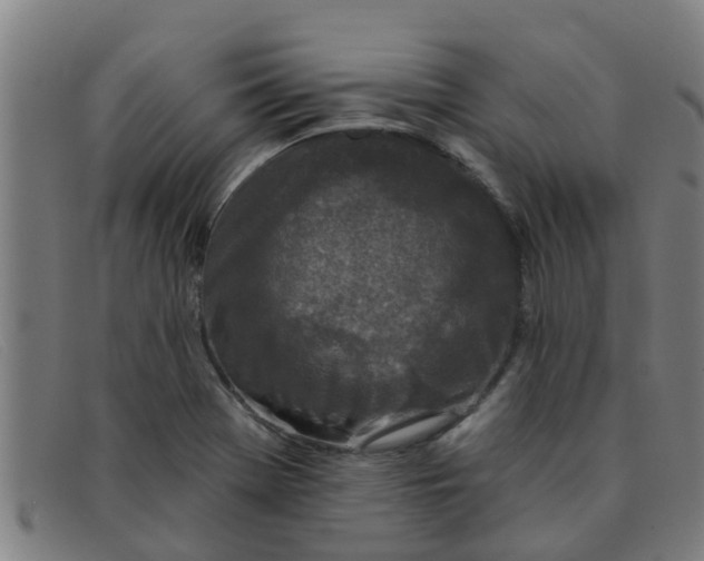 X0000091351369200708311508