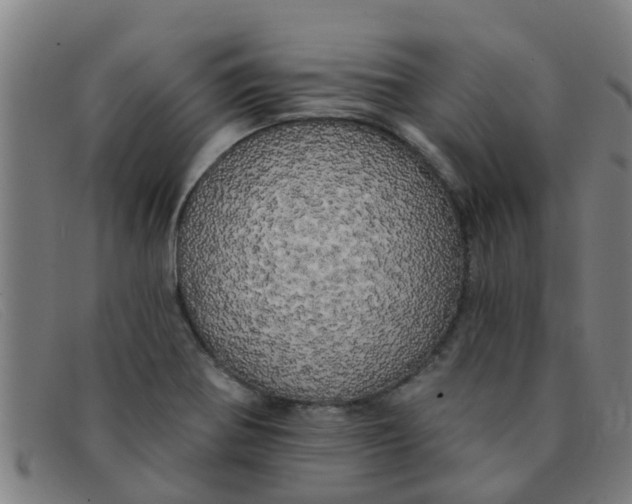 X0000091351370200708311508