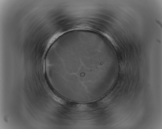 X0000091351371200708311508