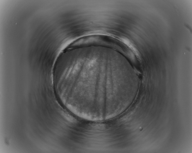 X0000091351372200708311508