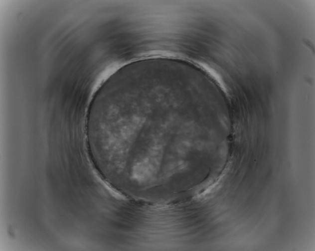 X0000091351373200708311508