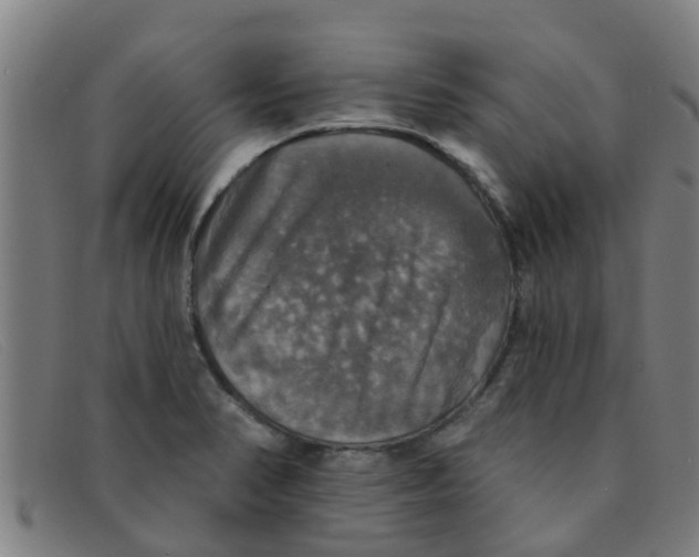 X0000091351374200708311508