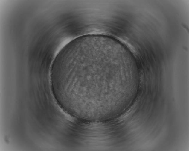 X0000091351375200708311508