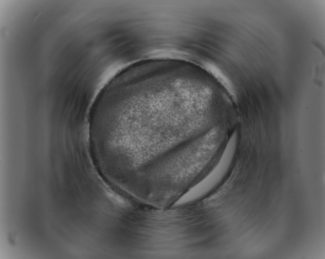 X0000091351376200708311508