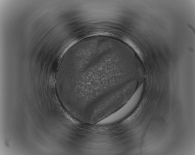 X0000091351377200708311508
