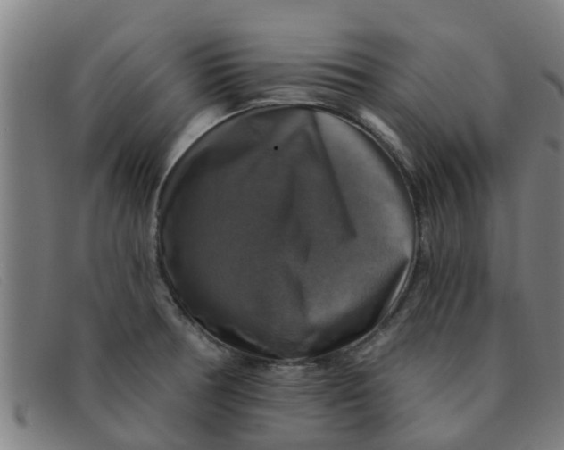 X0000091351378200708311508