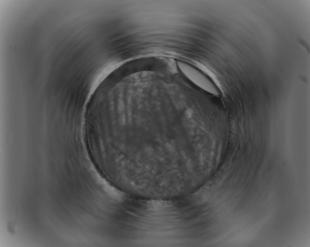 X0000091351379200708311508