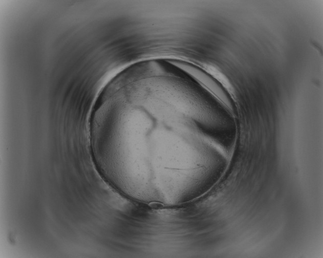 X0000091351380200708311507