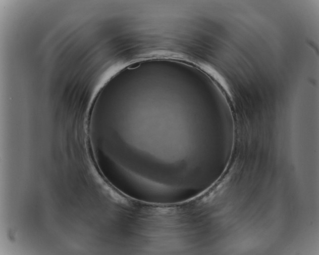 X0000091351381200708311507