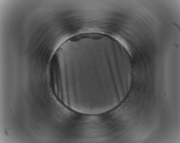 X0000091351382200708311507