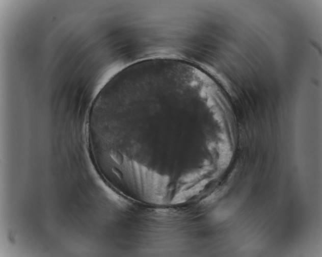 X0000091351383200708311507
