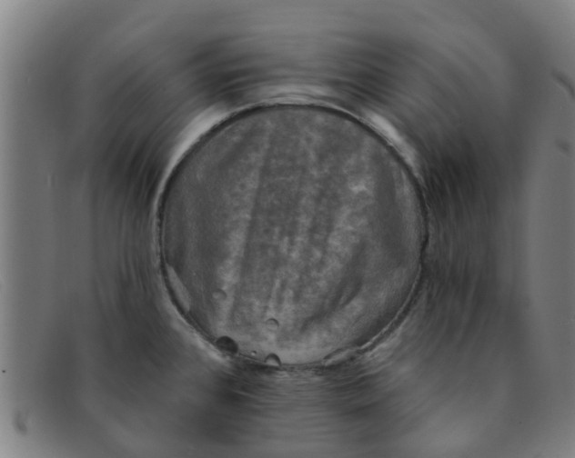 X0000091351384200708311507