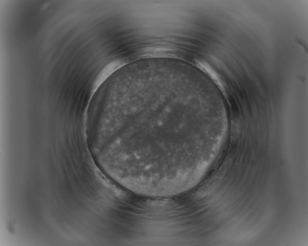 X0000091351386200708311507