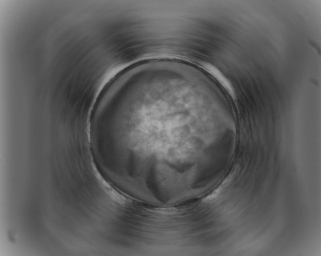 X0000091351388200708311507