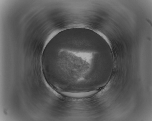 X0000091351389200708311507
