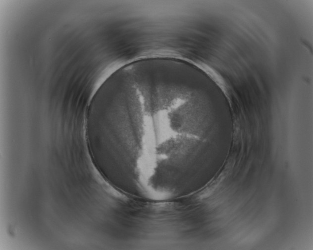 X0000091351390200708311507